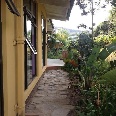 Ostello Jungle Monkey Backpackers Port Saint Johnʼs Esterno foto