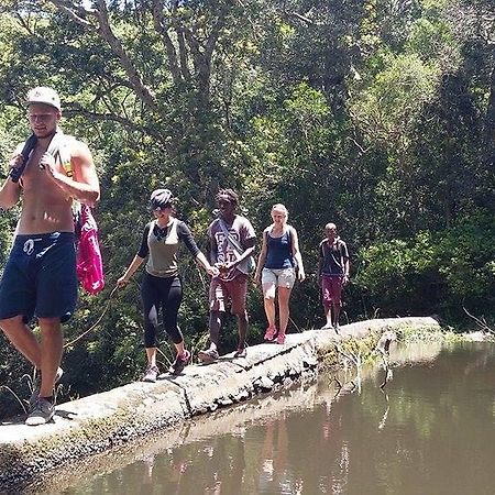 Ostello Jungle Monkey Backpackers Port Saint Johnʼs Esterno foto