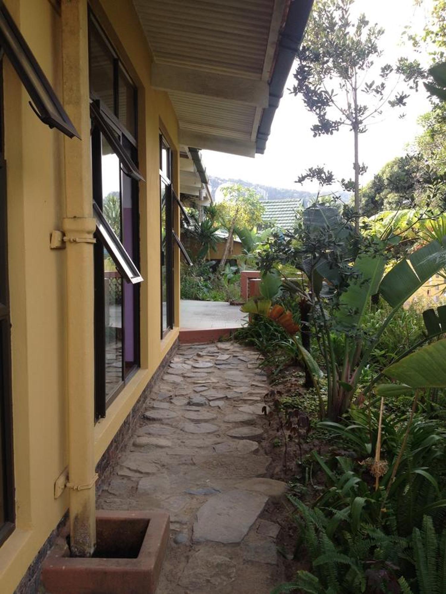 Ostello Jungle Monkey Backpackers Port Saint Johnʼs Esterno foto
