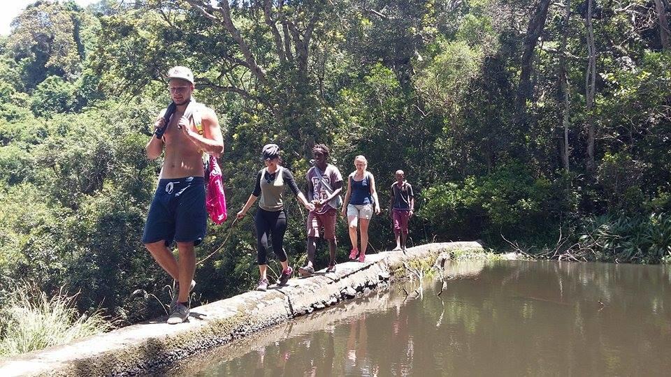Ostello Jungle Monkey Backpackers Port Saint Johnʼs Esterno foto