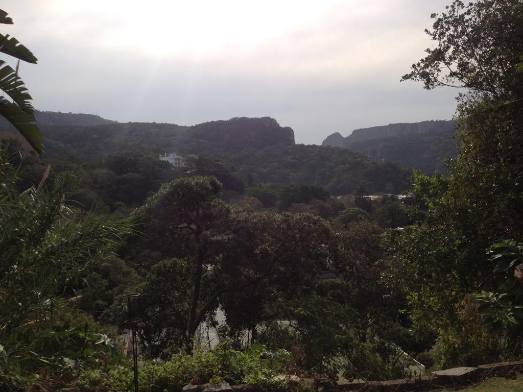 Ostello Jungle Monkey Backpackers Port Saint Johnʼs Camera foto