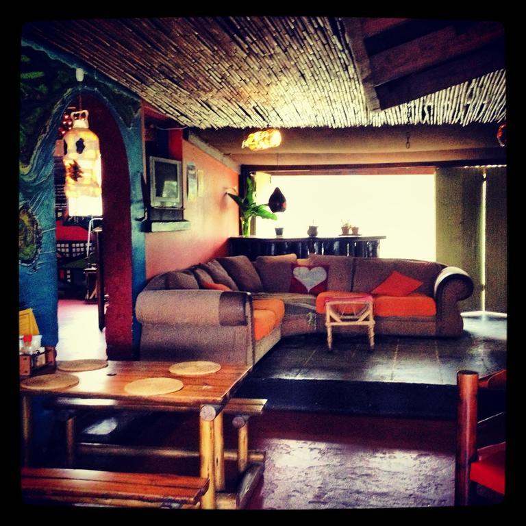 Ostello Jungle Monkey Backpackers Port Saint Johnʼs Esterno foto