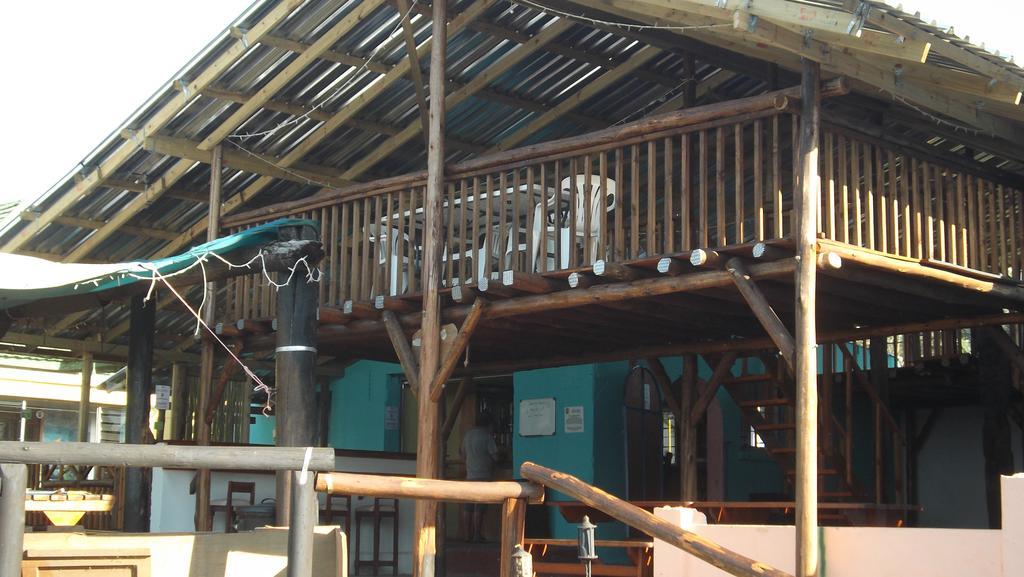 Ostello Jungle Monkey Backpackers Port Saint Johnʼs Esterno foto