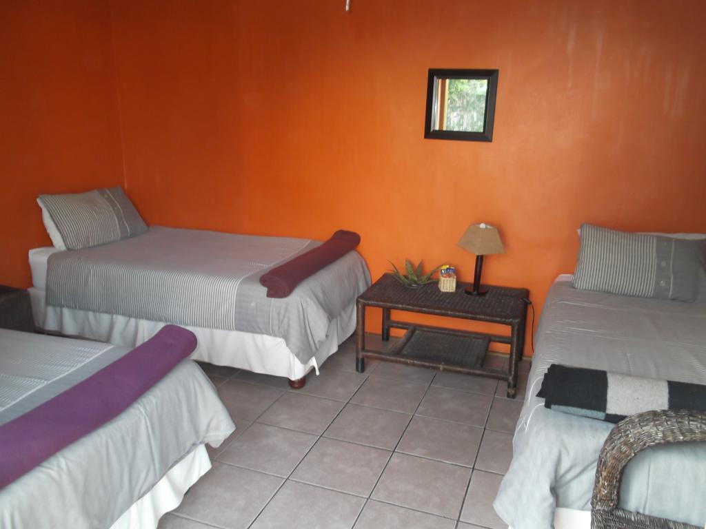 Ostello Jungle Monkey Backpackers Port Saint Johnʼs Esterno foto