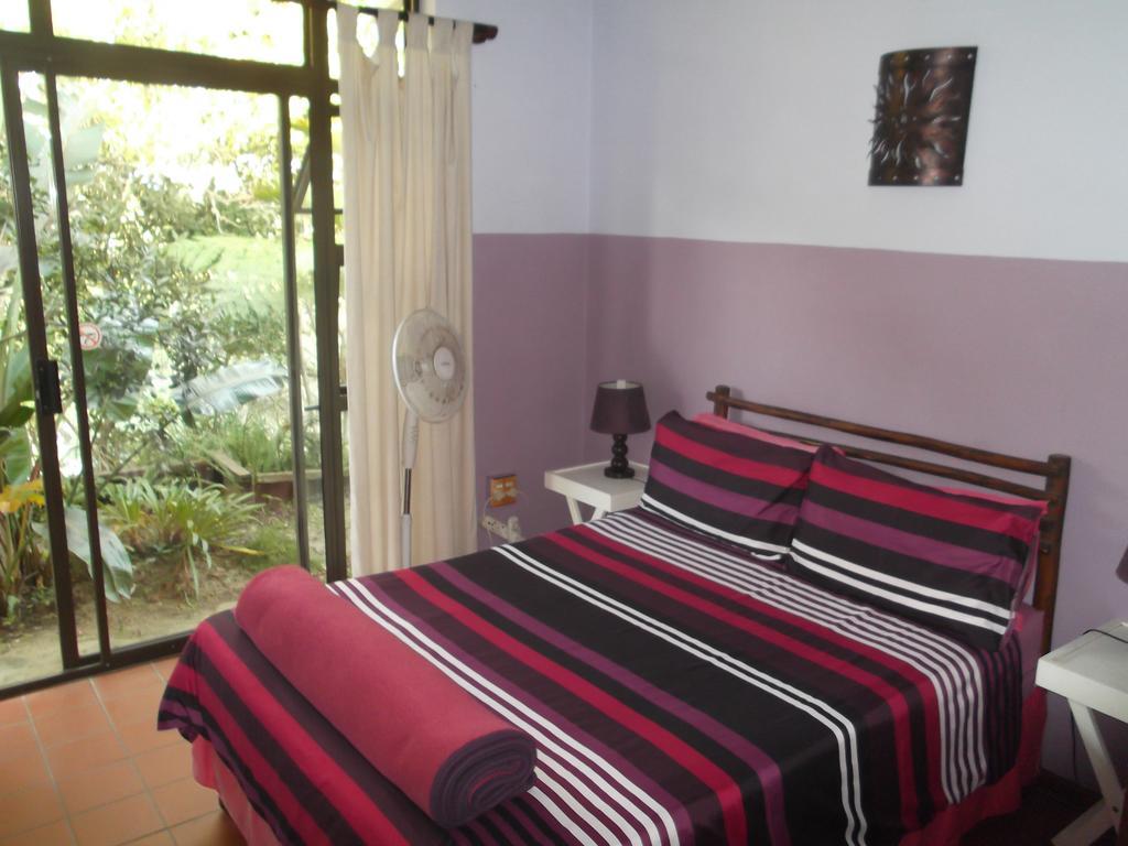 Ostello Jungle Monkey Backpackers Port Saint Johnʼs Esterno foto