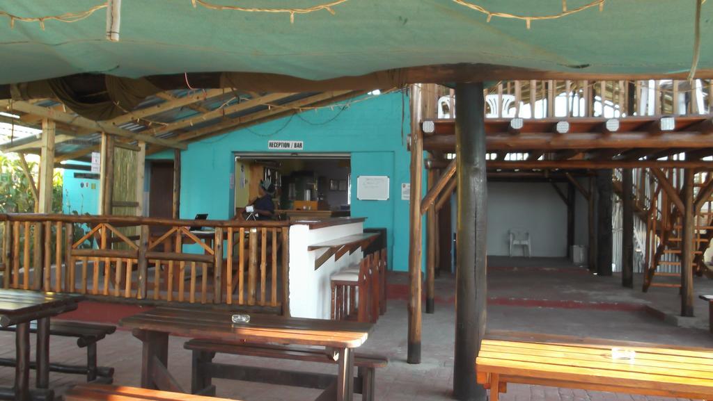 Ostello Jungle Monkey Backpackers Port Saint Johnʼs Esterno foto